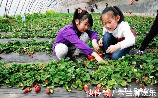 克拉拉|《海蒂和爷爷》警惕孩子患上“大自然缺失症”,还孩子真正童年