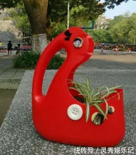 家中用完的“洗衣液桶”别丢了，剪上2刀，秒变养花神器，太美了