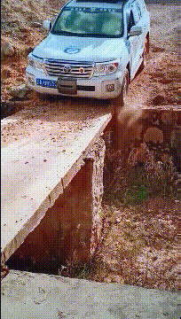 |搞笑GIF:带女朋友去动物园 我感觉好像被骗了