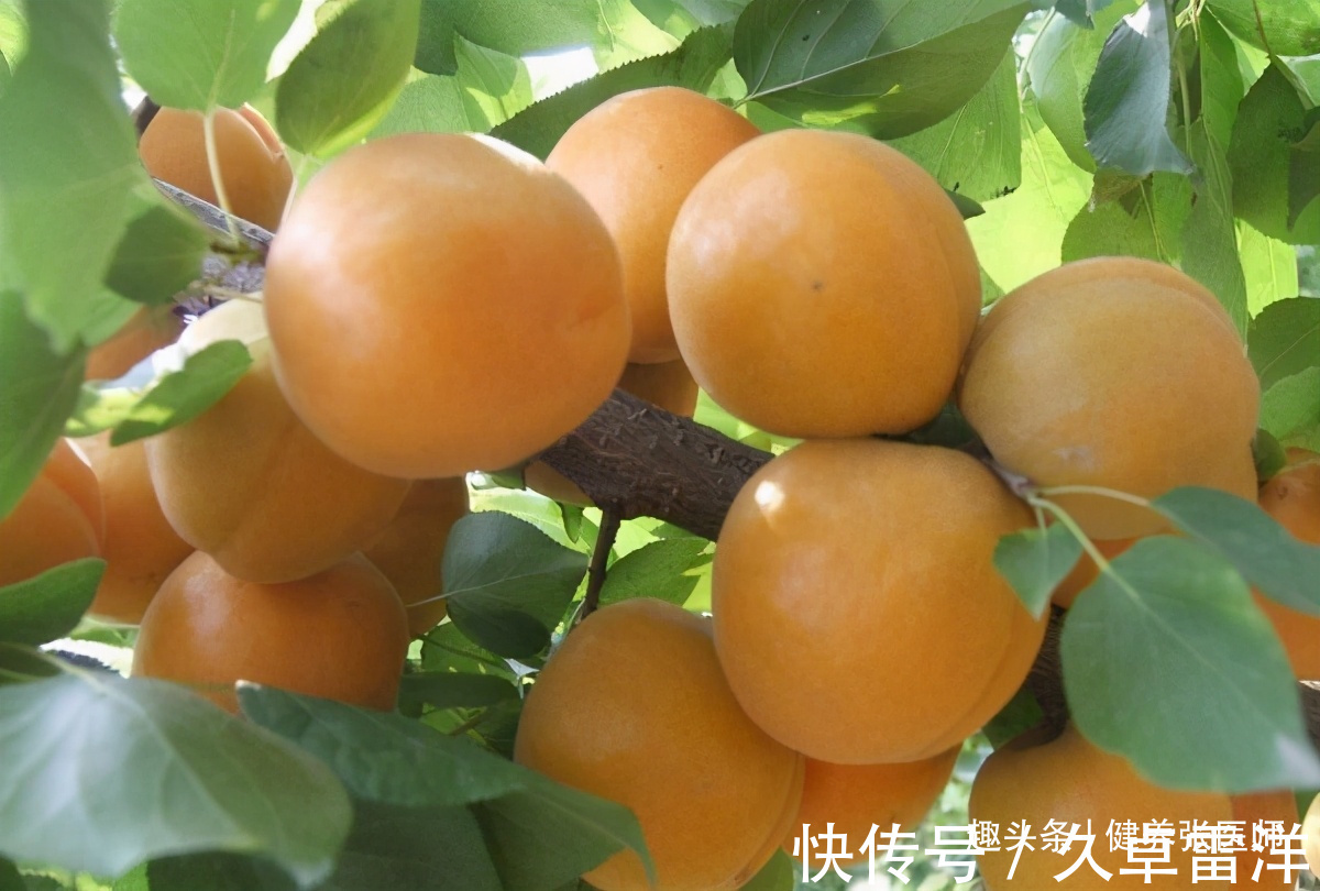 滋补|女性不想老太快,多吃3种食物,补血润肤,延缓衰老,滋补身体