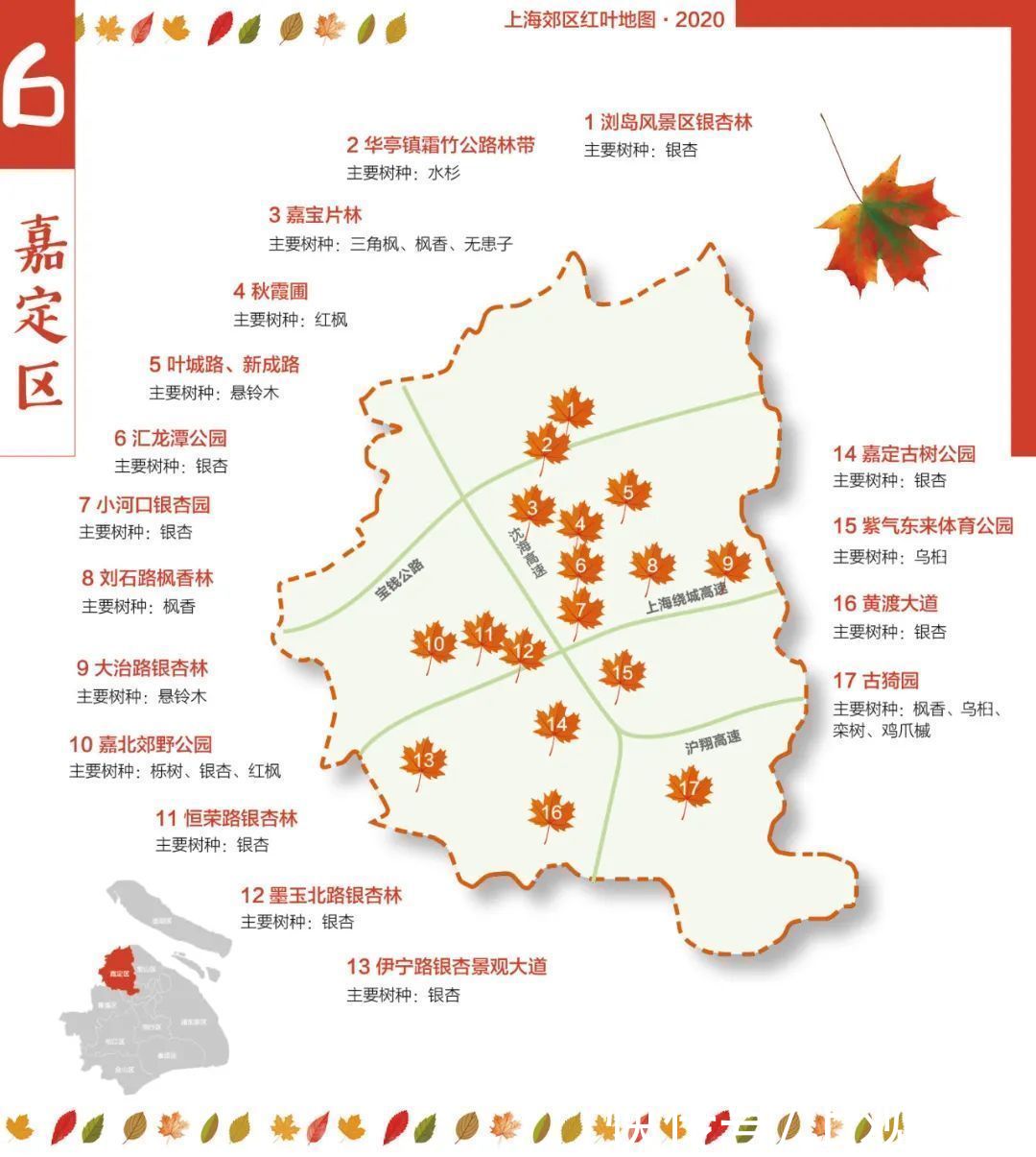 红叶|上海9个郊区最新红叶地图发布！一起来欣赏这幅五彩斑斓的画卷吧