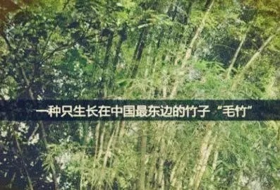 晾衣杠|什么叫价值?(深度好文)