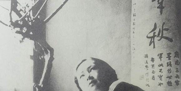 照片&梅花下的林徽因,美极了!梅花下的林徽因,美极了!