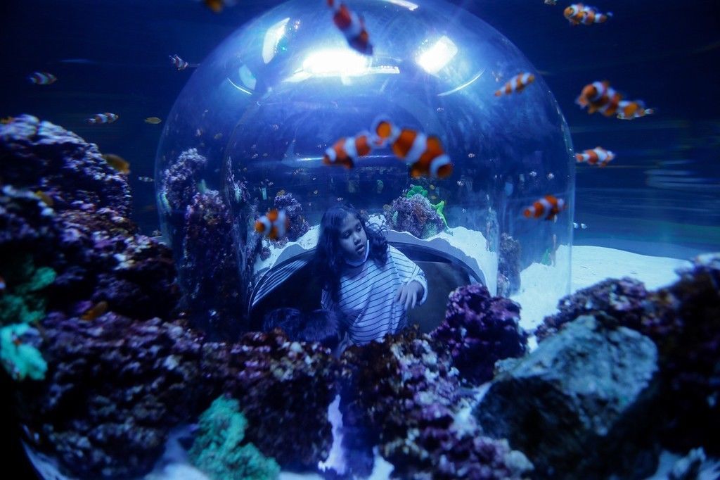 阿布扎比|中东地区最大水族馆——阿布扎比国家水族馆正式开馆