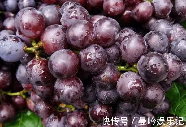 营养价值|血脂高的人夏季能吃葡萄吗?医生:想降脂的人,这5种水果可常吃