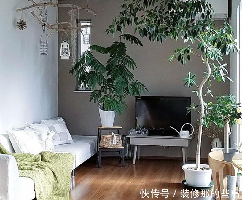 小两口之家,全屋布满绿植鲜花,把生活过成了诗,太美太治愈了