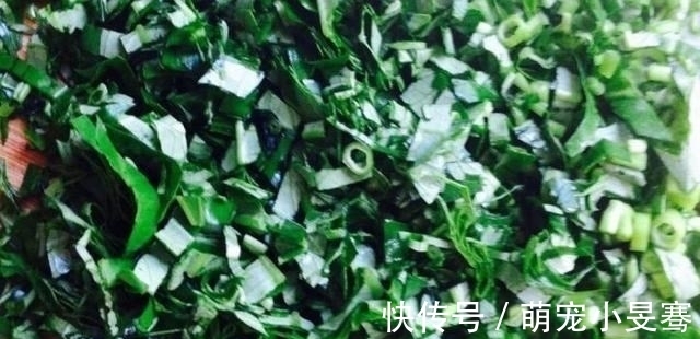 水饺|秋天,别错过这碱性食物,7毛钱一斤,用来包饺子鲜嫩多汁超级香
