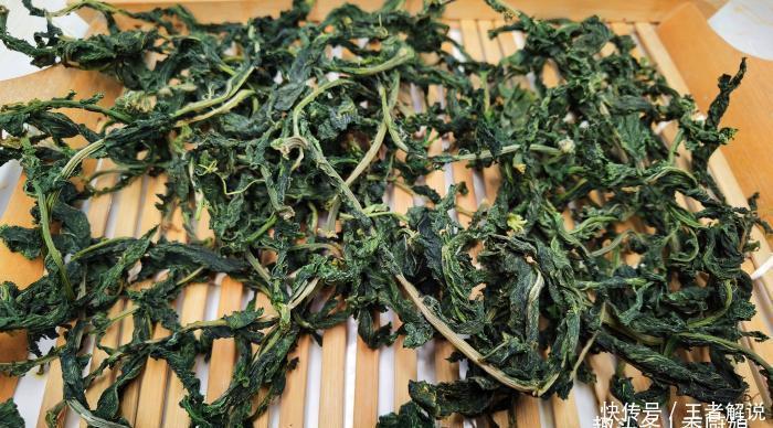 很多人只吃果肉,其实叶子才是宝贝,多捡些回家,一晒一烀,真香