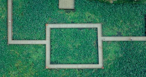 淮河|“千里淮河之滨 巍巍八公山麓”，四时风姿绰约四季皆有独特风景