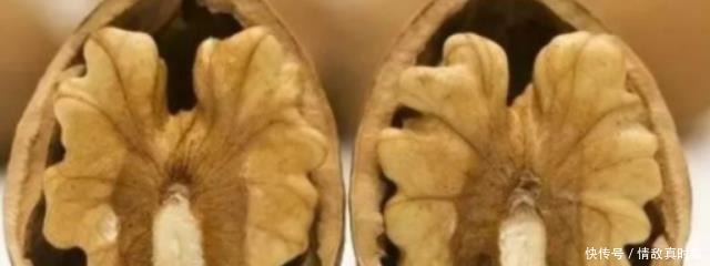 原来核桃上有个“小机关”,找到之后,轻轻一拧就剥开,太厉害了!