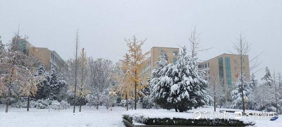 大学生|大雪下的驻济学生：校园里肆无忌惮滚雪球，那是我们的青春啊