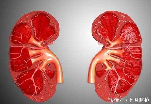 尿酸|尿酸高的人,不妨多吃碱性食物,每天换着吃,痛风绕道走