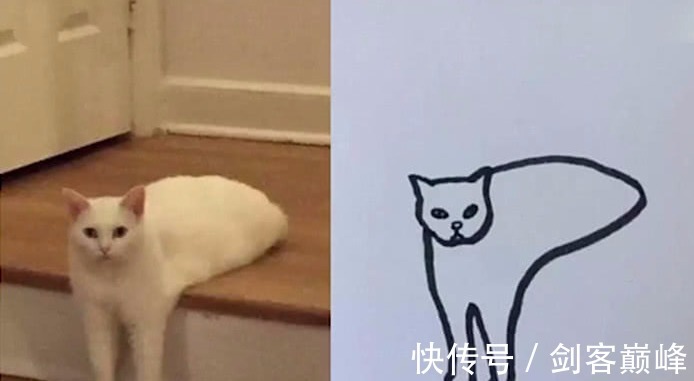 美术生!美术生画猫遭老师批评,可看到最后,老师抱歉,是我错怪你们了