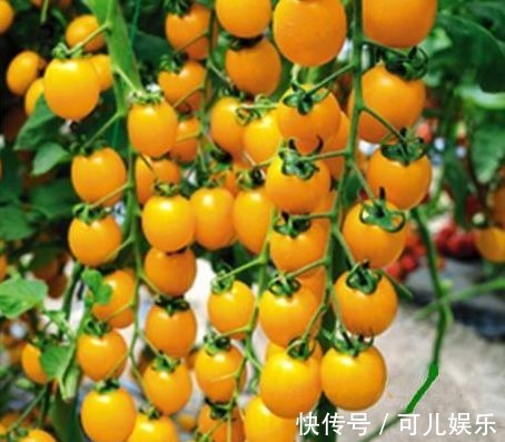 食物|女性不想长满皱纹,要坚持吃3种食物,排毒养颜、有益身体!