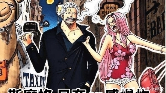 阿菊|海贼王:最具“夫妻相”的5对CP,网友:麦哲伦这对我站定了!