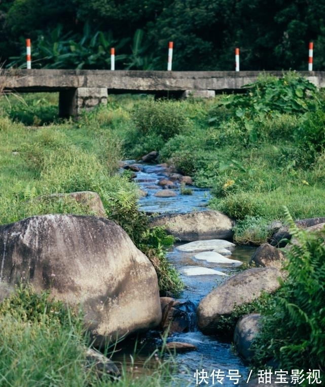 停车地|泉州不过夜露营合辑，放归山野，活在风景里