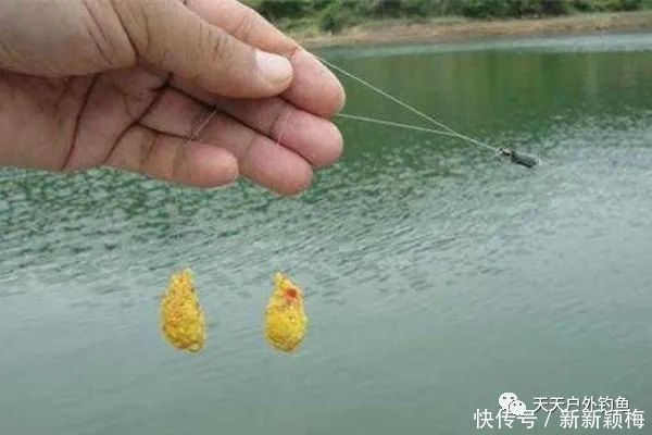 黄豆粉|几款民间自制红薯饵料,小鱼不沾,通杀鲫鲤,野钓必备饵料