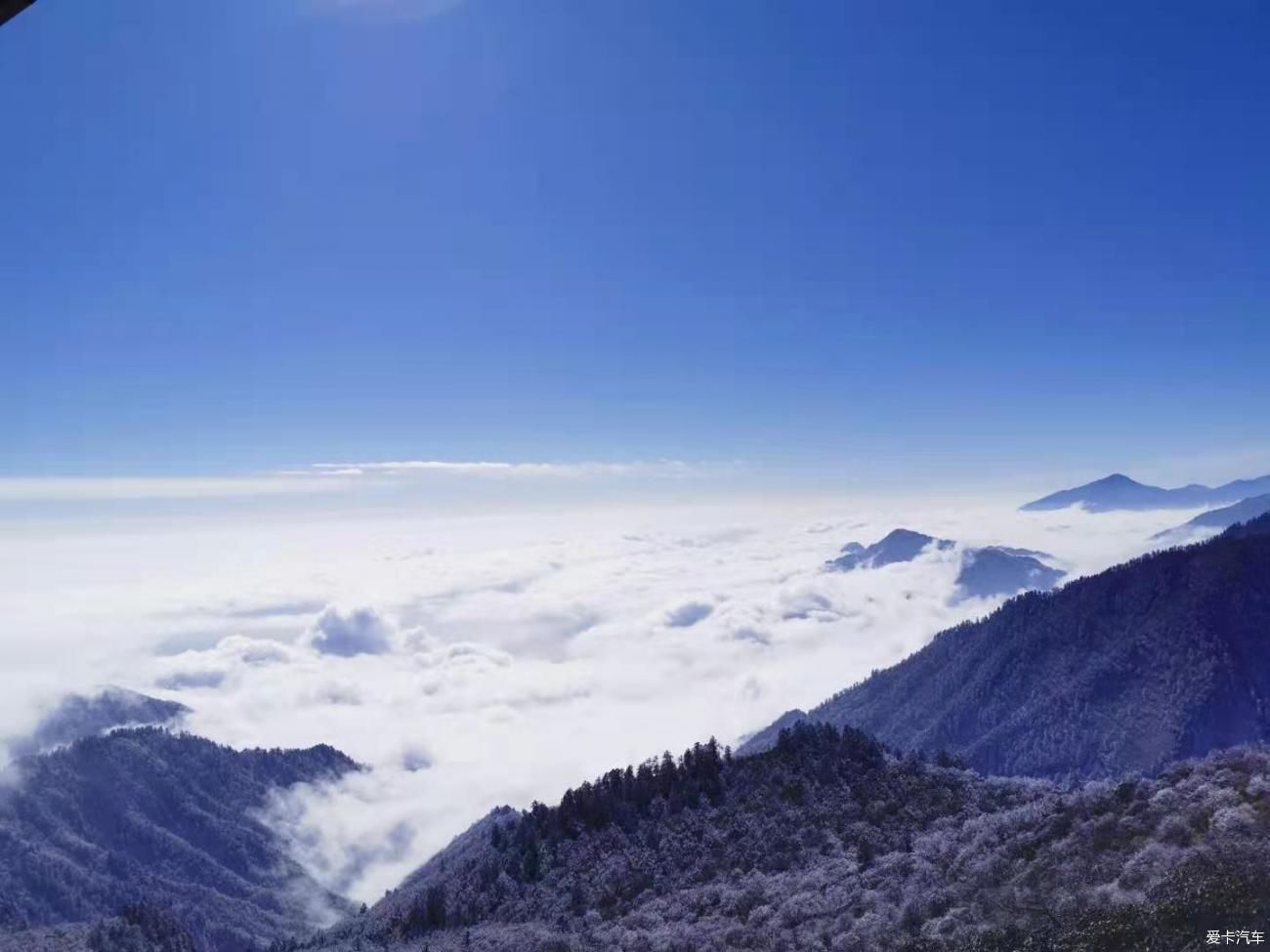 中薪|看雪---西岭雪山两日游