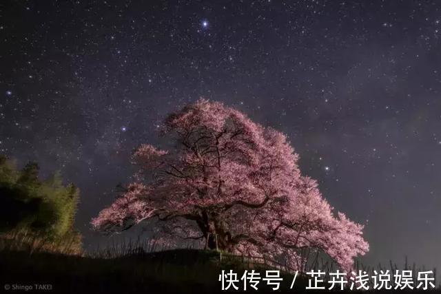 朱锁锁@《百年孤独》里最真实的三句话,每一句都是人生真相