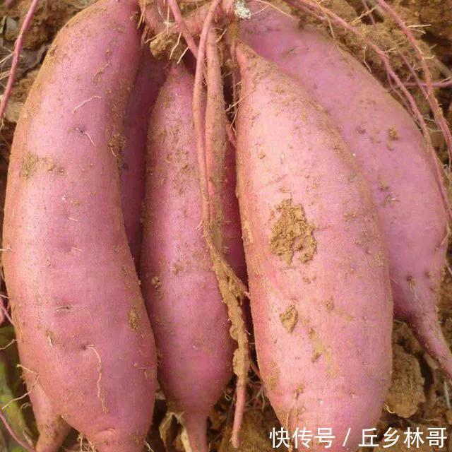 炸糖糕家常做法,简单易学,外皮金黄又酥脆,个个空心不流糖