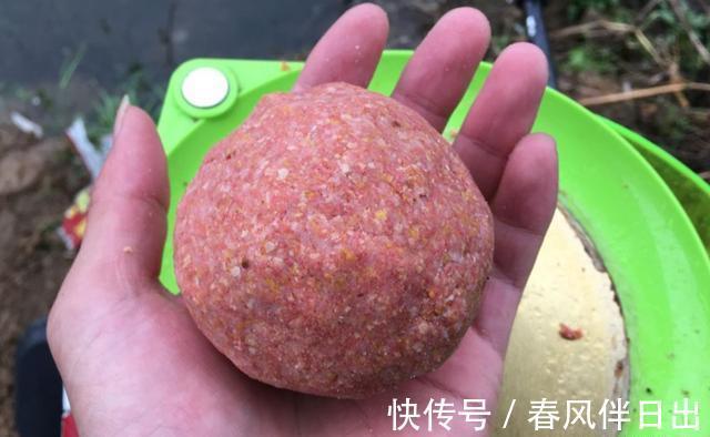 仲秋|秋季钓鱼,应注意的5大要点,鱼情变好更要注重方法,轻松博大鱼