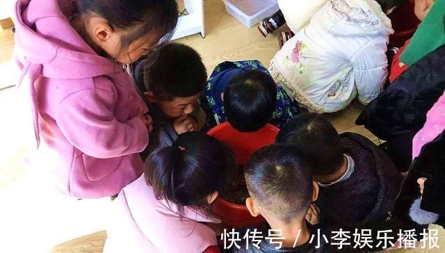 妈妈|3岁儿子被幼儿园劝退,妈妈深夜和老师聊微信,妈妈言语暴露问题