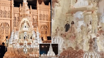 小蛋糕|新娘两千元订购孔雀婚礼蛋糕, 收到的实物像患病火鸡