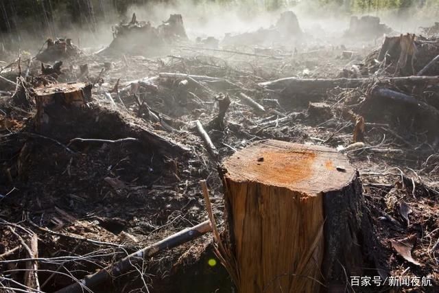 今天是第 52个世界地球日，请好好爱她