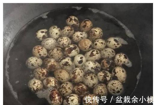 鹌鹑蛋|快手创意菜，焦脆有嚼劲，做法简单，比饭店还好吃！
