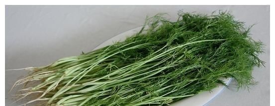 血脂升高|高血脂是因为面条吃多了?专家提醒:若想血脂平稳,少吃“3素”