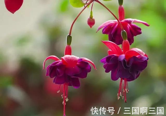 别再被割韭菜了，此些网红花白给都不要，看到就要躲得远远的