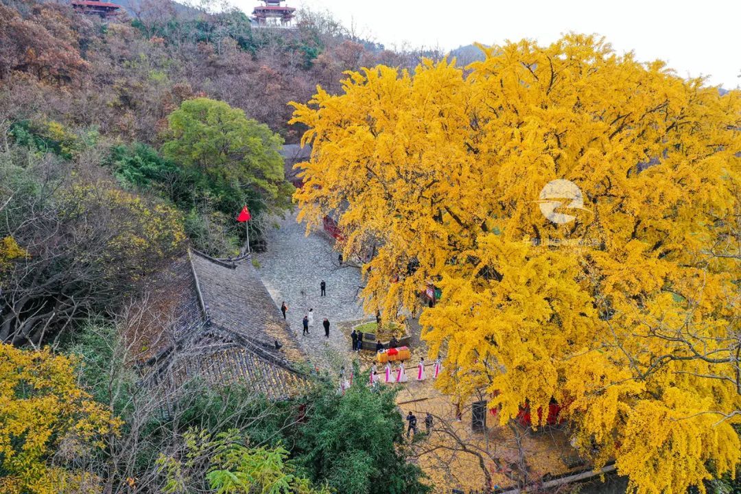 古刹|这一美，足足美了1000年！