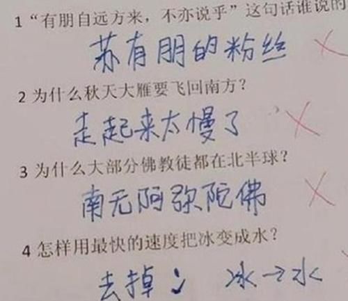 小学生0分试卷走红：“我三天没挨揍了”，网友：德云社适合你