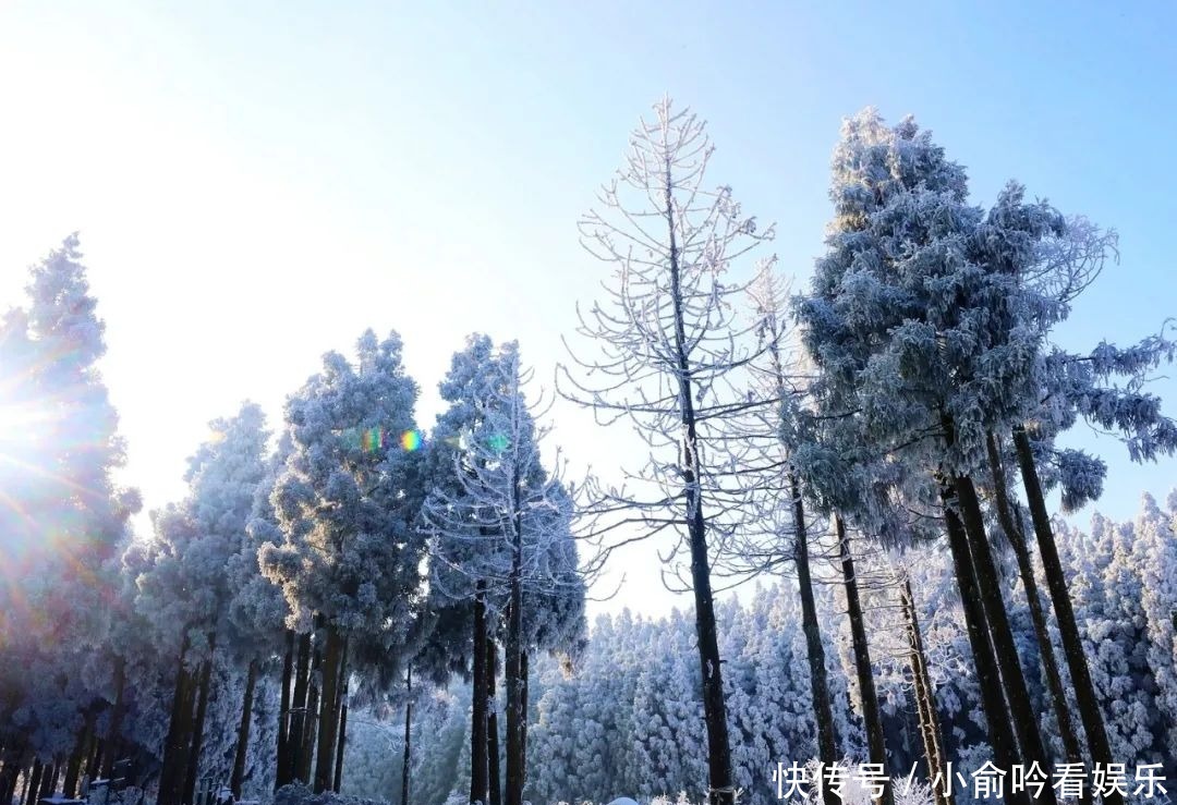 雪景|遂昌大美雪景图！让你一次看个够