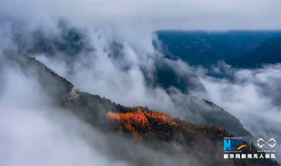  新华网|新华网：又见大巴山彩叶