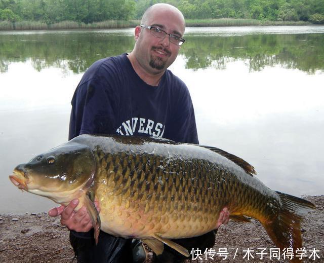 雾化|夏天最好的钓鱼天气:暴雨过后,钓点、饵料、对象鱼详解