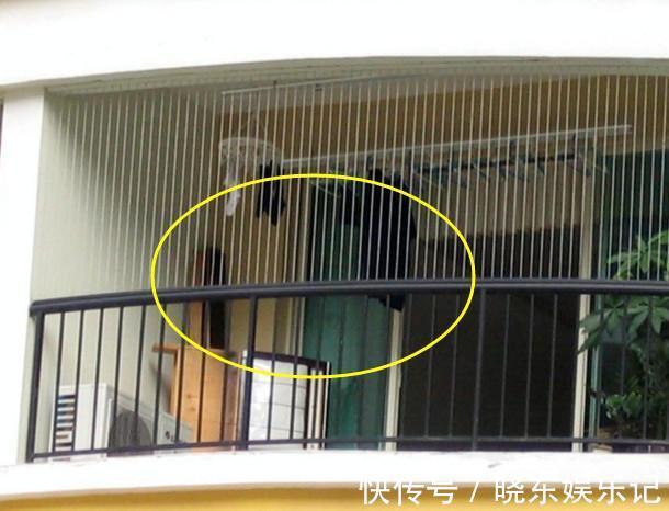 装修|住楼房要不要封阳台我家当初没听劝,入住才知被坑惨