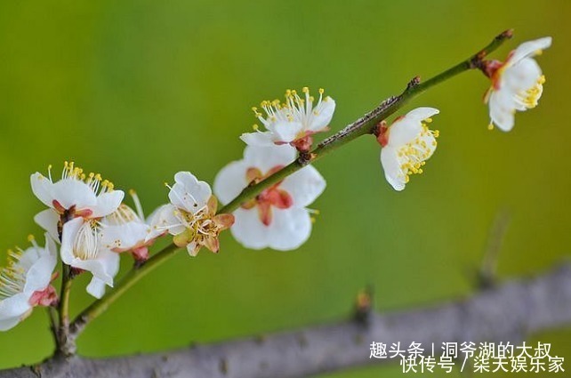 旺夫旺子|三大生肖女一不败家，二不显老，娶回家等于娶到宝，有福了