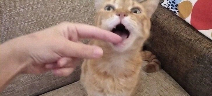 童年|16个你以前“一定做过”的蠢事,硬把磁铁吸起来就是童年