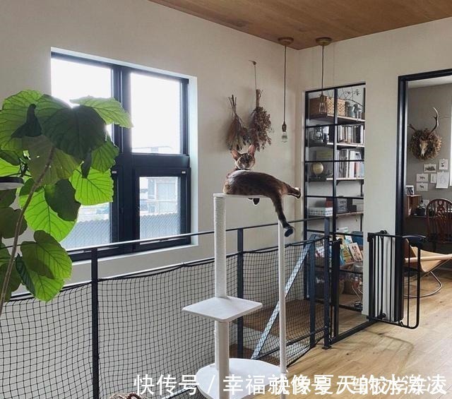 唯美|看了她家之后,治愈了我的抑郁症!小家简单温馨、精致唯美,超爱!