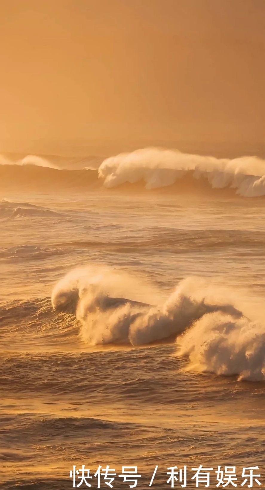 治愈系壁纸 全网搜