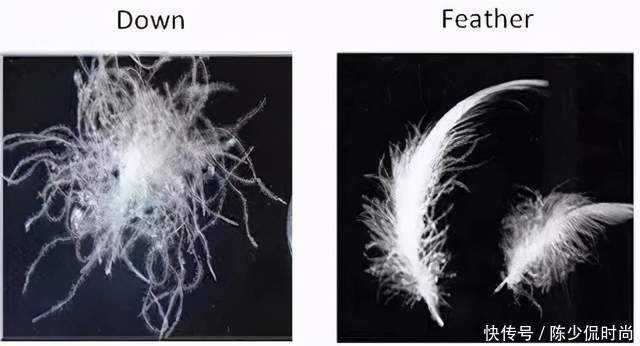 羽绒服|羽绒服盘点种草:含大牌秀场款、选购注意事项