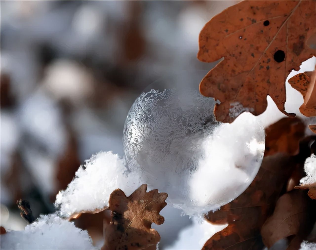 雪人#雪地上的诗：两个雪人拥抱着 但他们的身体 仍然很冷