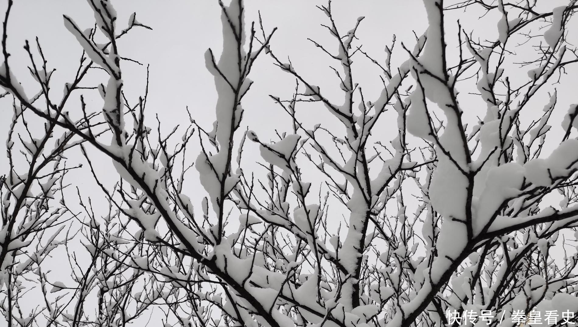 明代奇事:三个“倭人”漂流到登州府,还做了一首咏雪的诗