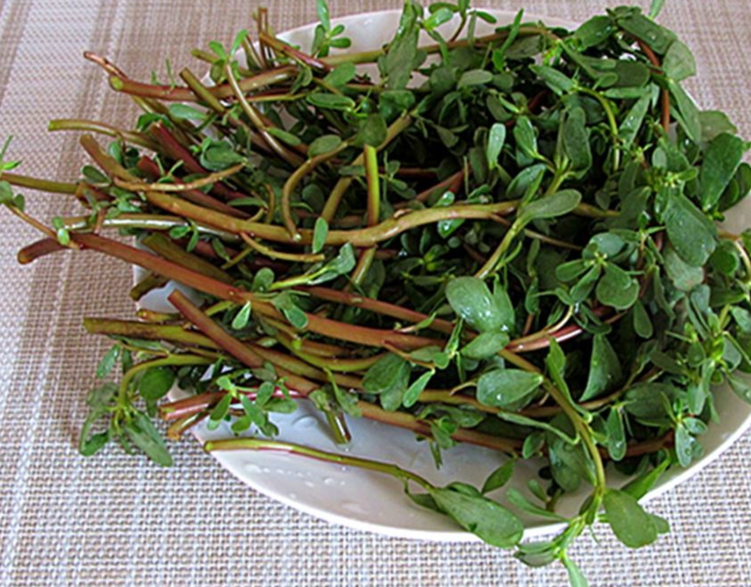 长寿菜|山珍海味未必健康，生活中常见的4种养生菜、长寿菜健康又便宜