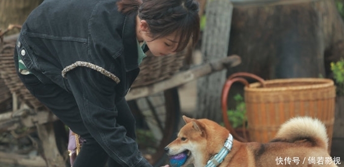 张艺兴 杨紫参加《向往的生活》排面大, 想看其他内容,是另外的价钱