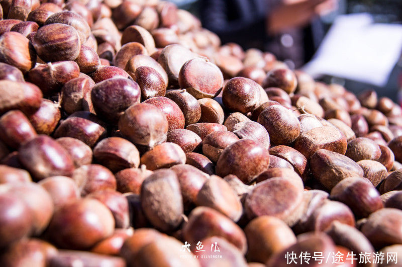 玻璃桥|落日余晖，一颦一笑染尽迷人秋色，遇见古老神秘之国—沂蒙山