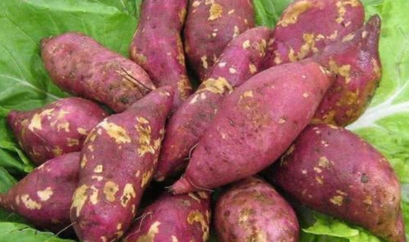 身体不适|吃完玉米一个小时内,不能吃“那几样东西”,尤其是“第三种”