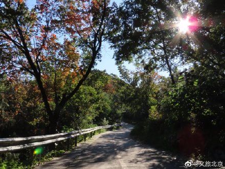 彩叶|北京赏彩叶绝美打卡地——百望山森林公园