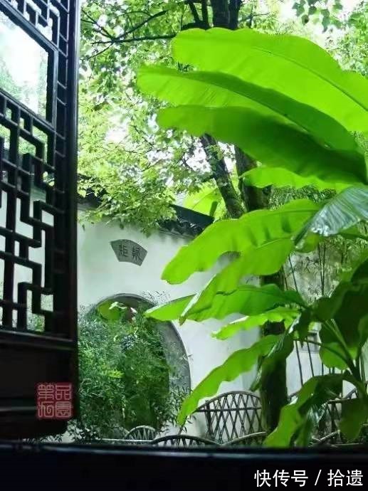 添字丑奴儿$那些打在芭蕉上的流光,点点滴滴,全部收藏!